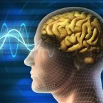 Zihnin İşleyişi Nasıl Bozulur?